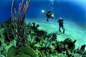 Best Dive Watch