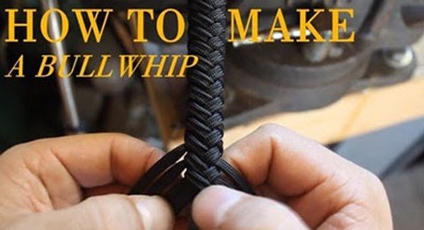 bullwhip